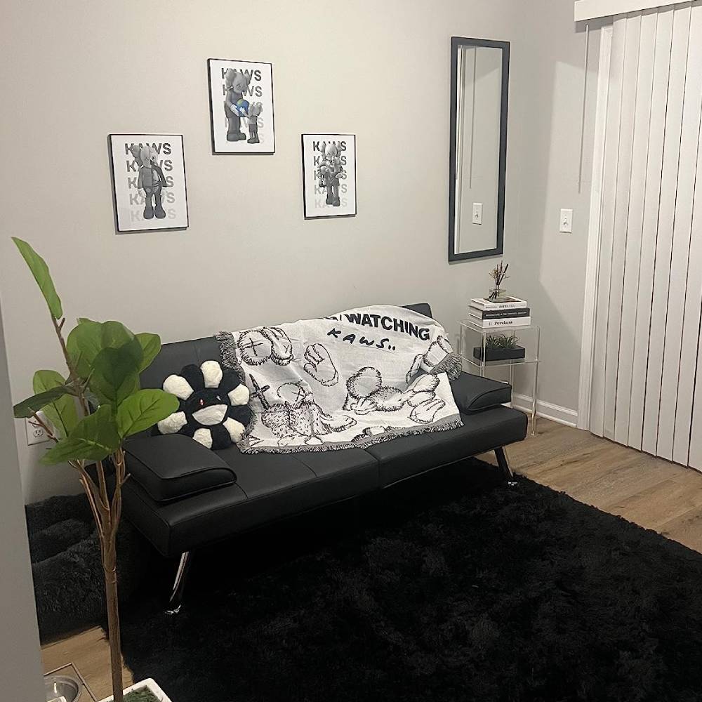 Futon Sofa Bed product detail
